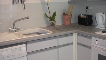 green park apartment kitchen orchid